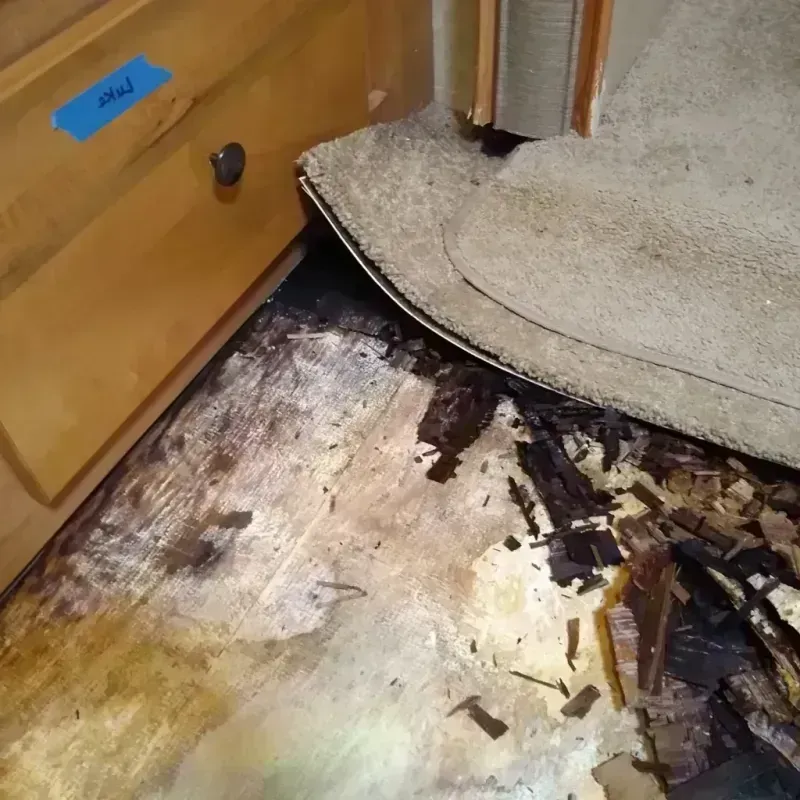 Wood Floor Water Damage in Appleton, ME